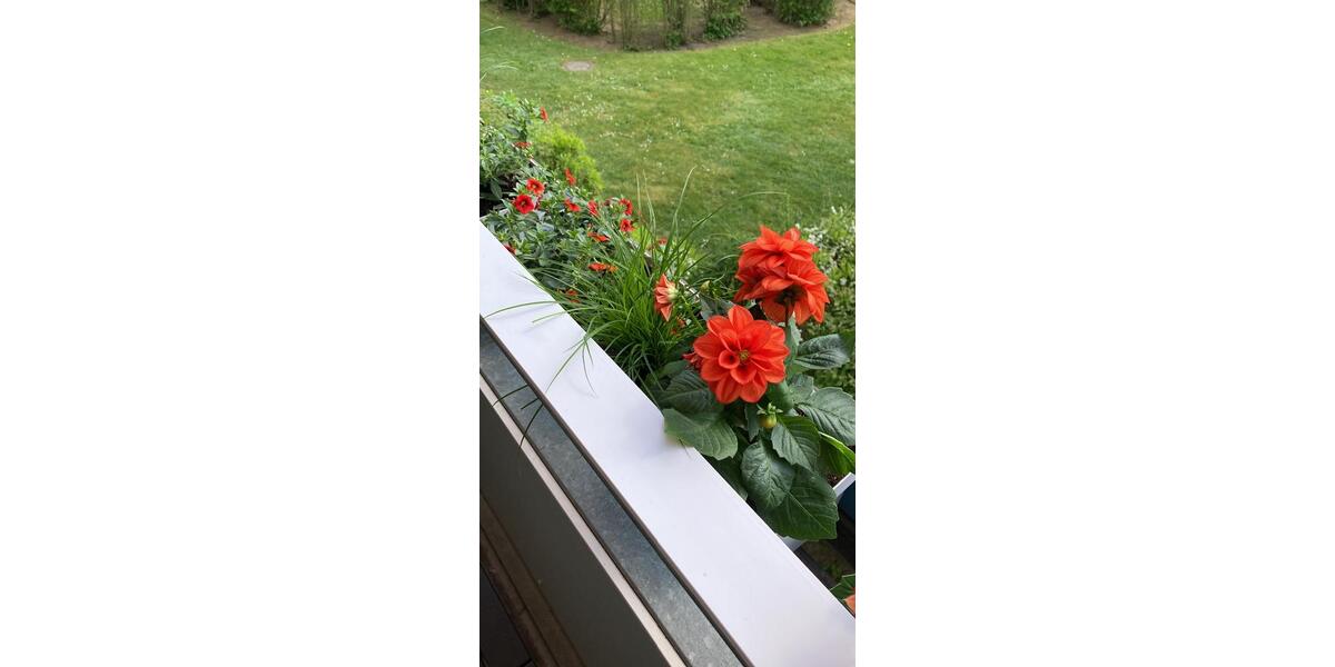 Etagenwohnung Bad Schwartau - 3 Zimmer, 60 m&sup2;, 1.600&euro; | Angebot:24571003