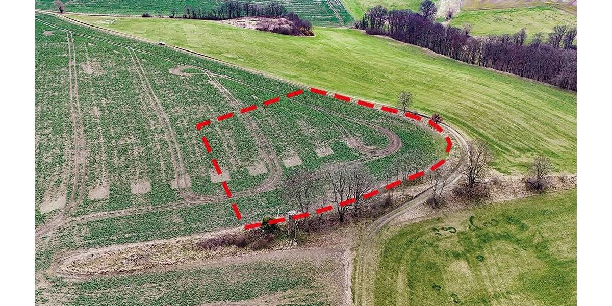 Grundstück Müglitztal Mühlbach - 5.900&euro; | Angebot:26110618