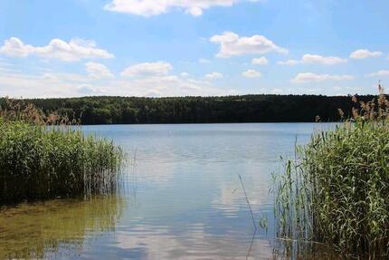 Gewerbeobjekt Storkow (Mark) - 650&euro; | Angebot:26048821