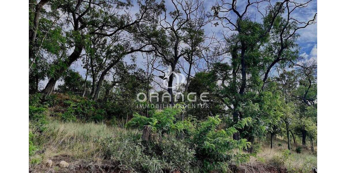 Grundstück Seeburg Seeburg - 265.000&euro; | Angebot:25371853