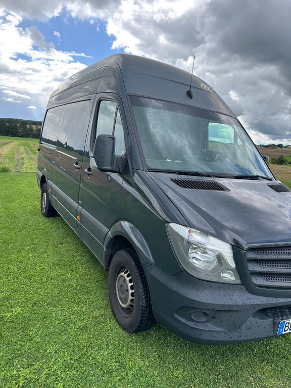 Sprinter