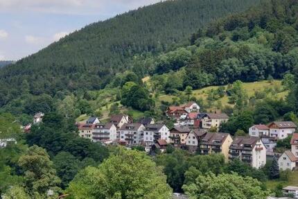Helle 3-Zimmer-Altbau-Wohnung in zentrumsnaher Aussichtslage (Mietdauer: min. 4 Jahre) 3 zimmer