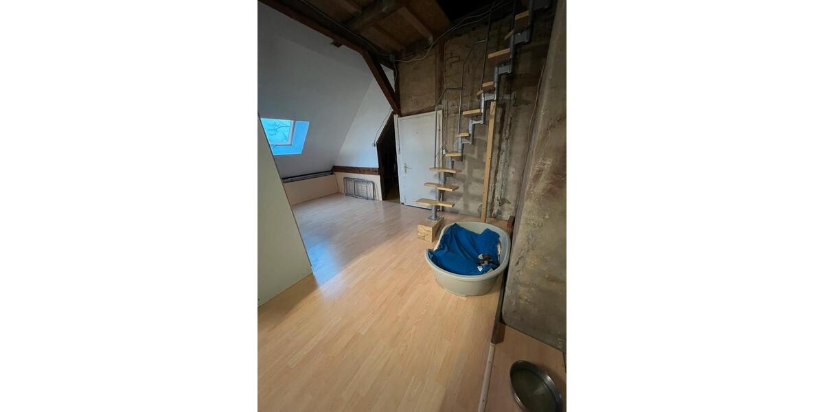 Einfamilienhaus Löwenberger Land - 7 Zimmer, 300 m&sup2;, 285.000&euro; | Angebot:26966042