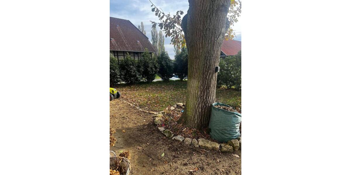 Erdgeschoßwohnung Lehre - 5 Zimmer, 190 m&sup2;, 1.820&euro; | Angebot:24564553