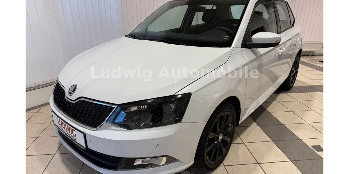 Skoda Fabia 69.069 km 10.980 &euro; Pößneck 07381
