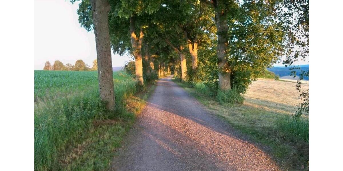 Grundstück Lößnitz - 1.550&euro; | Angebot:26279426
