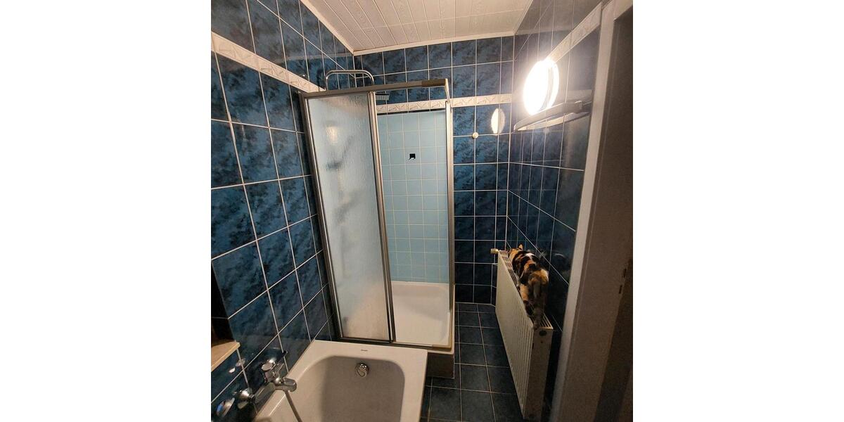 Einfamilienhaus Steinbach-Hallenberg Hallenberg - 9 Zimmer, 140 m&sup2;, 80.000&euro; | Angebot:26398498