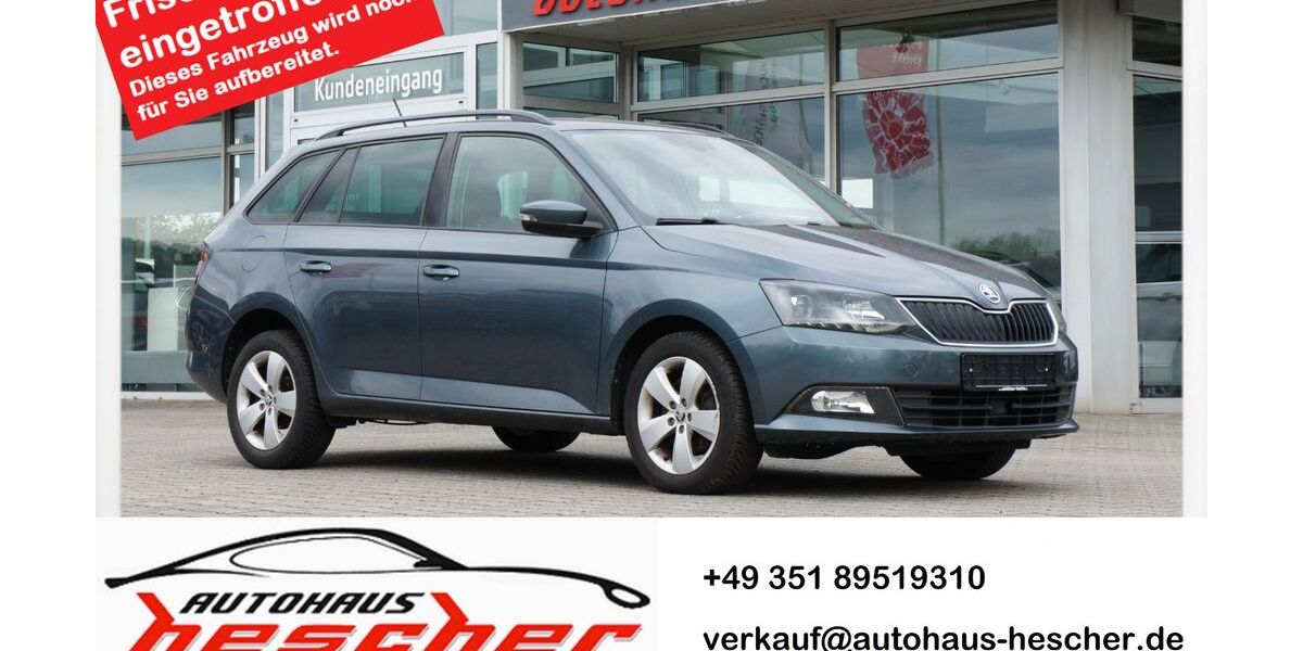 Skoda Fabia 78.670 km 12.980 &euro; Dresden 01139