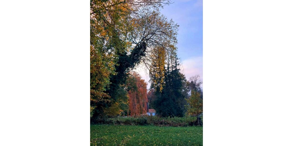 Einfamilienhaus Beverstedt - 1 Zimmer, 20 m&sup2;, 450&euro; | Angebot:26310083