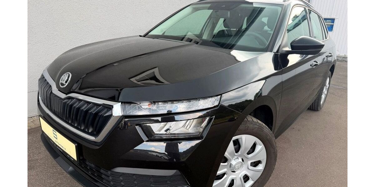 Skoda Kamiq 60.500 km 15.498 &euro; Hallschlag 54611