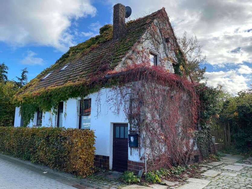 Haus zum Kaufen in Halberstadt 165.000 € 110 m²