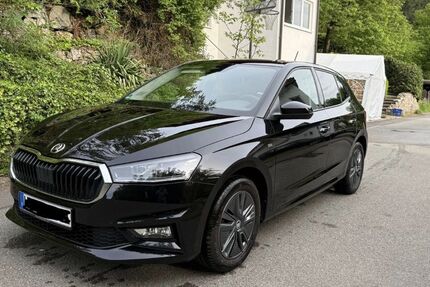 Skoda Fabia 29.000 km 21.000 &euro; Heiligkreuzsteinach 69253