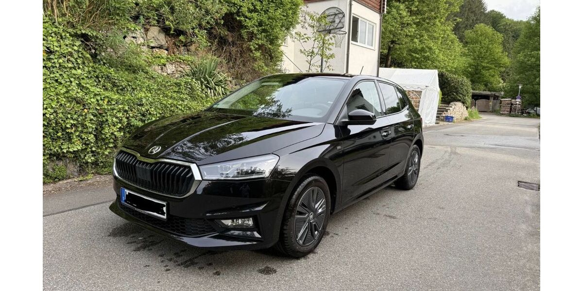 Skoda Fabia 29.000 km 21.000 &euro; Heiligkreuzsteinach 69253