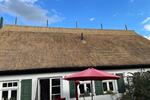 Einfamilienhaus Korswandt - 5 Zimmer, 135 m&sup2;, 1.480&euro; | Angebot:26269363