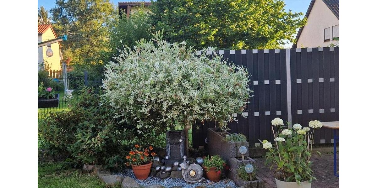 1-2 Familienhaus 8 zimmer