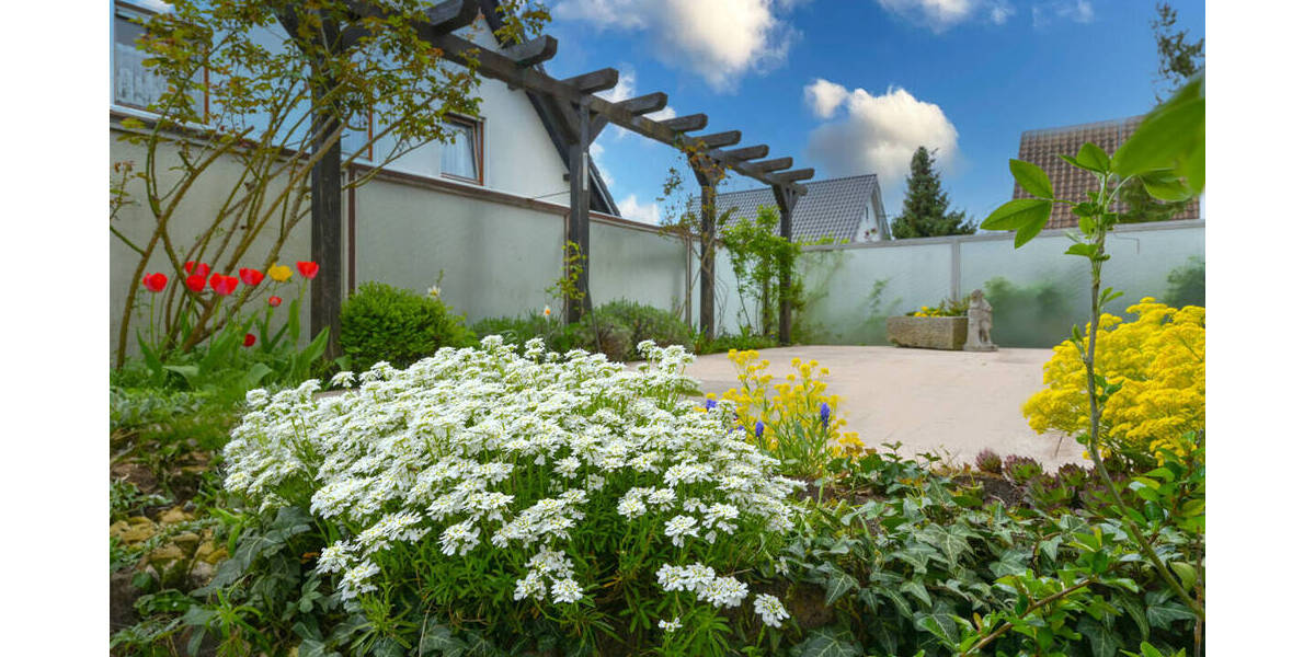 Einfamilienhaus Ramstein-Miesenbach Miesenbach - 6 Zimmer, 182 m&sup2;, 2.000&euro; | Angebot:26359656