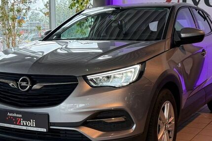Opel Grandland (X) 59.116 km 13.940 &euro; Helmstedt 38350