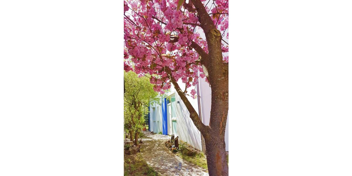 Einfamilienhaus Östringen - 8 Zimmer, 196 m&sup2;, 965.000&euro; | Angebot:26165019