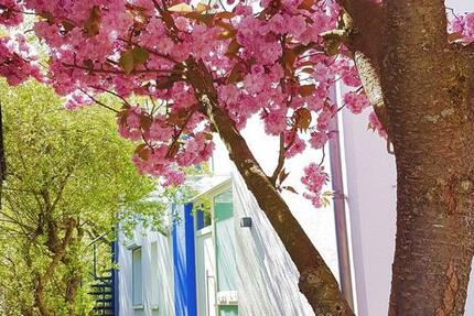 Haus Östringen - 8 Zimmer, 196 m&sup2;, 965.000&euro; | Angebot:26165019