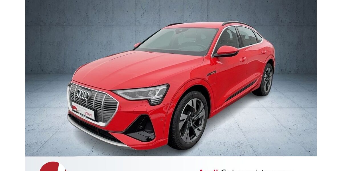 Audi e-tron 49.356 km 45.540 &euro; Neutraubling 93073