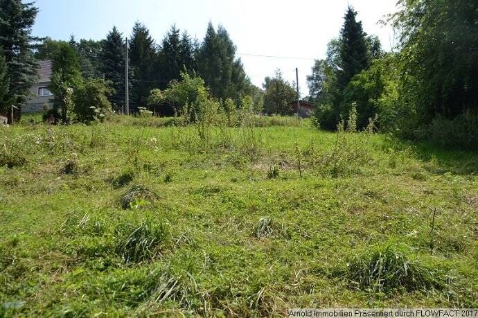 Grundstück Sebnitz - 18.000&euro; | Angebot:25748988