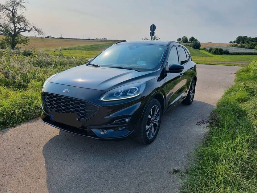 Kuga