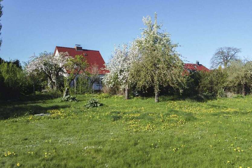 Haus zum Kaufen in Wittenhagen 150.000 € 90.1 m²