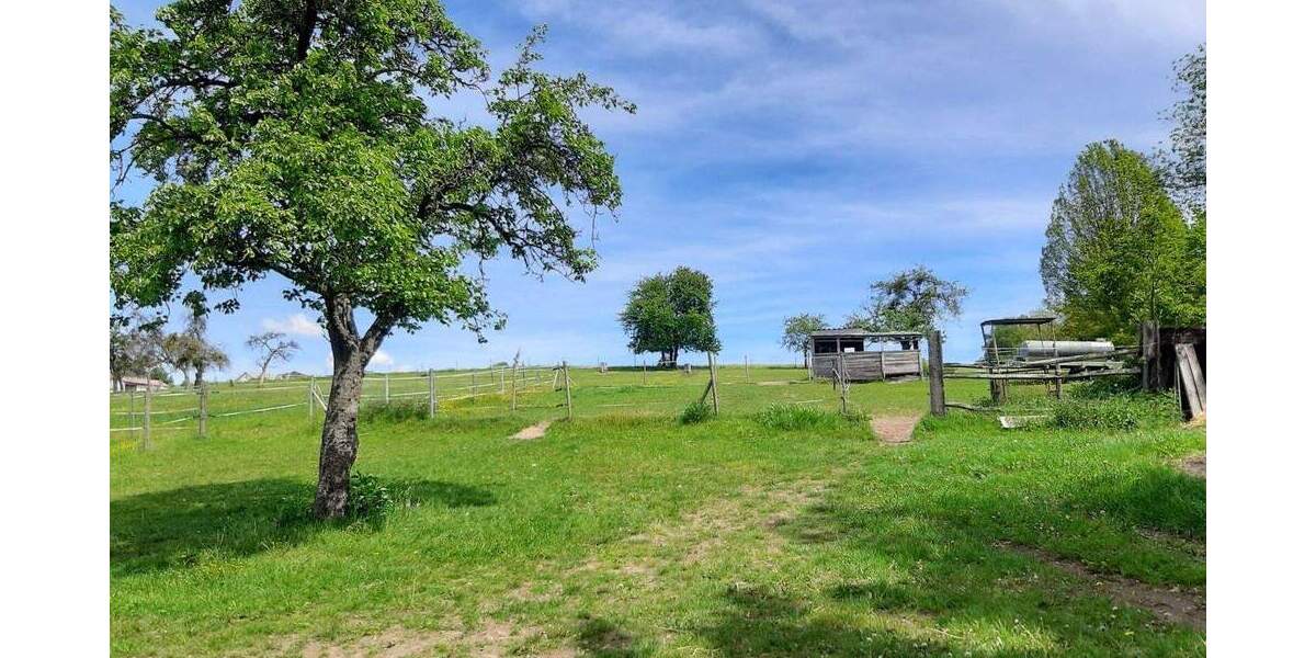 Mehrfamilienhaus, Wohnhaus Michelstadt Weiten-Gesäß - 6 Zimmer, 230 m&sup2;, 695.000&euro; | Angebot:25743244