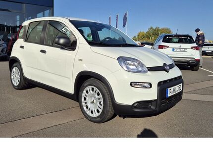 Fiat Panda 4.500 km 13.999 &euro; Potsdam 14482