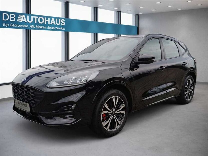 Kuga