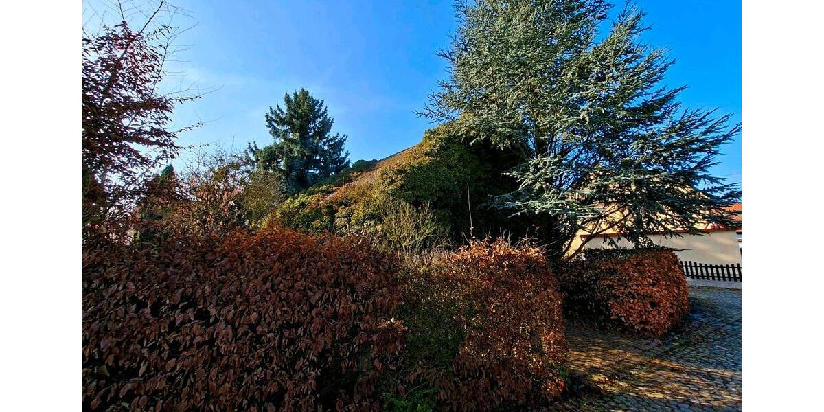 Einfamilienhaus Nobitz - 6 Zimmer, 150 m&sup2;, 40.000&euro; | Angebot:26104942