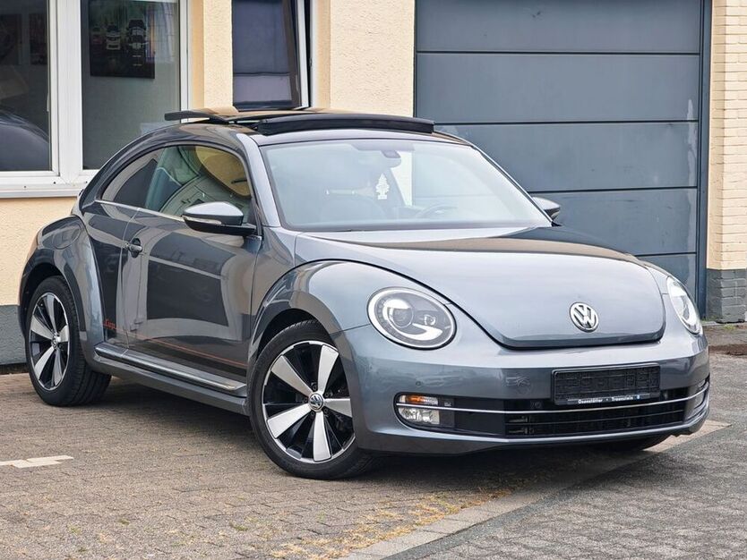 Beetle