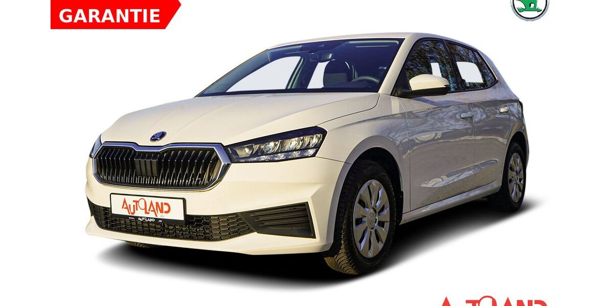 Skoda Fabia 3.178 km 16.950 &euro; Rostock 18146