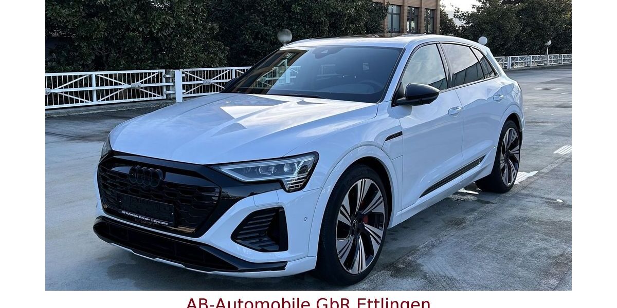 Audi Q8 e-tron 17.353 km 56.900 &euro; Ettlingen 76275