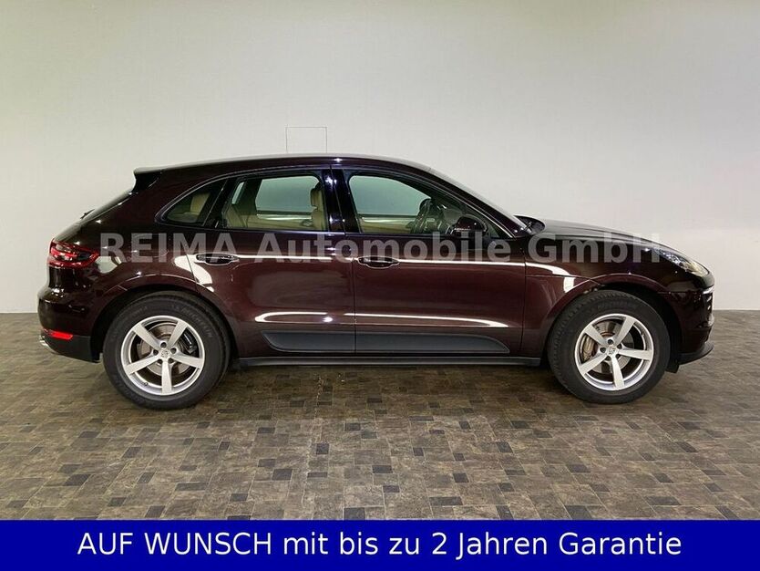 Macan