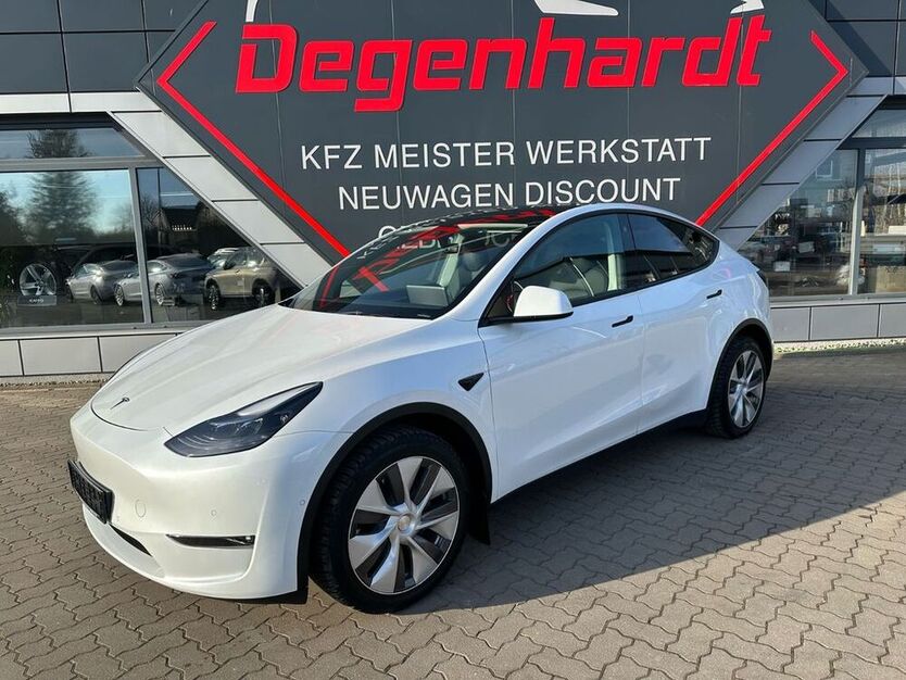 Model Y