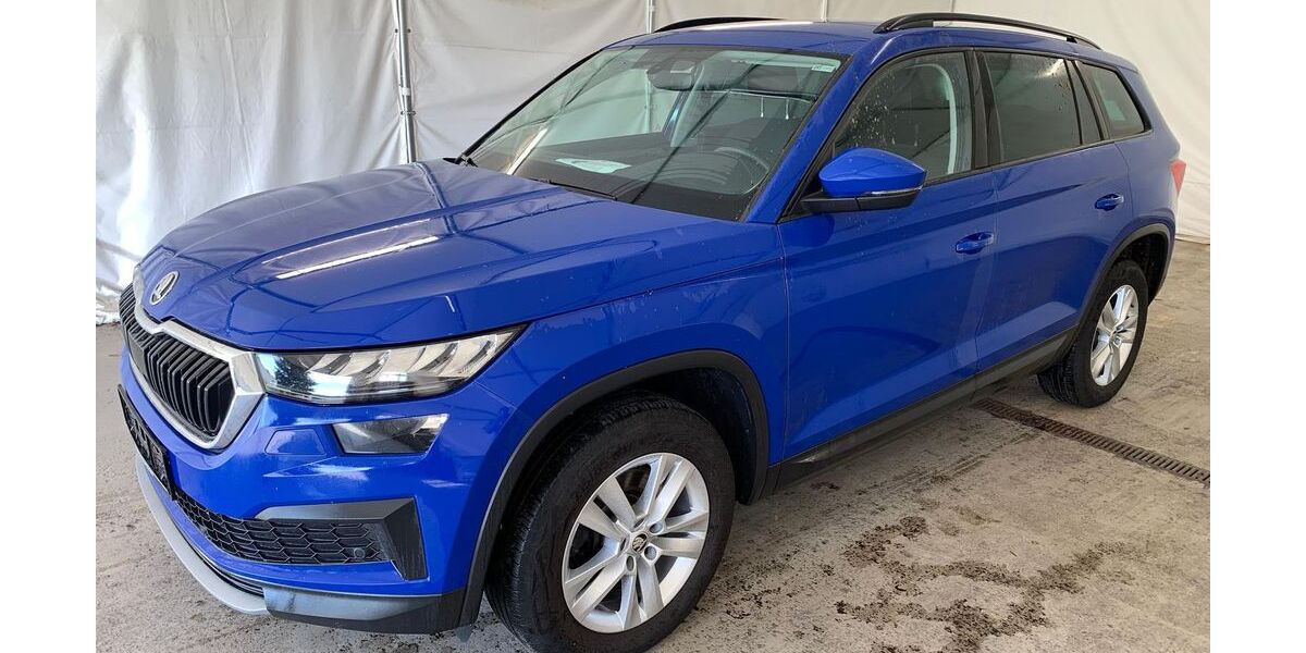 Skoda Kodiaq 174.920 km 20.990 &euro; Steinbach-Hallenberg OT Herges-Hallenberg 98587