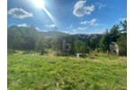 TRAUMGRUNDSTÜCK MIT UNVERBAUBAREM BLICK - Grundstück Ilmenau | Angebot:27259817