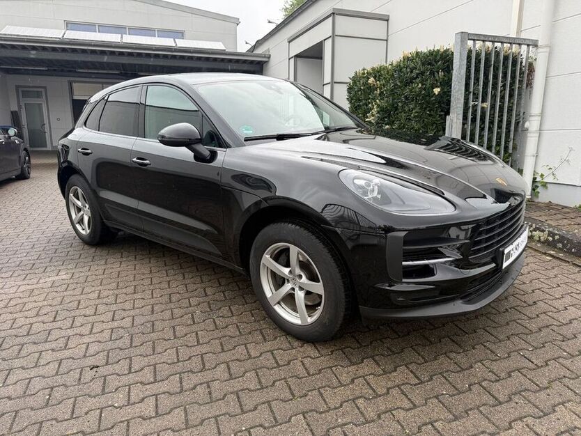 Macan