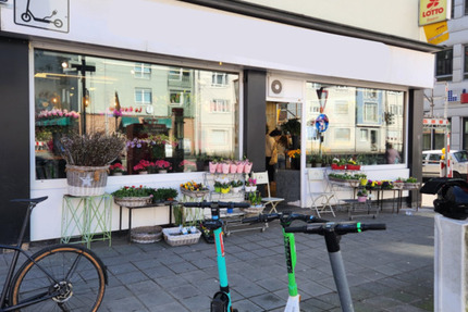 Gewerbeobjekt Nürnberg Gärten b Wöhrd - 390.000&euro; | Angebot:25689324