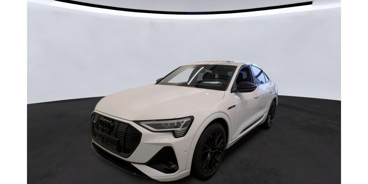 Audi e-tron 25.313 km 42.085 &euro; Hagen 58091