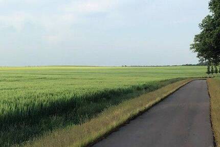 Grundstück Wiesenburg/Mark Wiesenburg - 135.024&euro; | Angebot:25771667