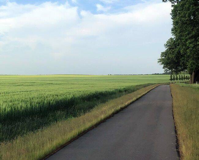 Grundstück Wiesenburg/Mark Wiesenburg - 135.024&euro; | Angebot:25771667