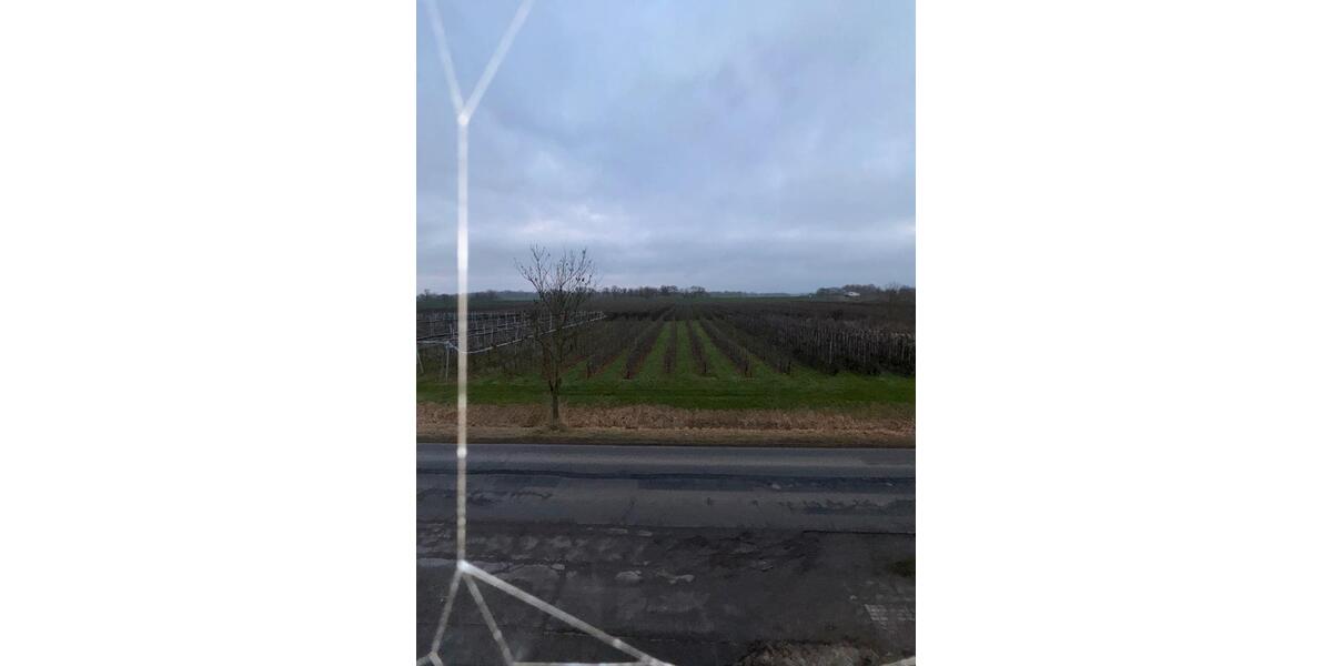 3-Zimmerwohnung frisch saniert 3 zimmer