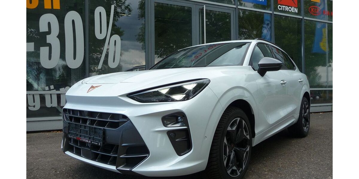 Cupra Terramar 16.300 km 35.390 &euro; Bad Saulgau 88348