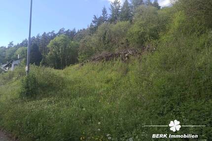 Grundstück Walldürn / Rippberg Rippberg - 105.000&euro; | Angebot:25693723