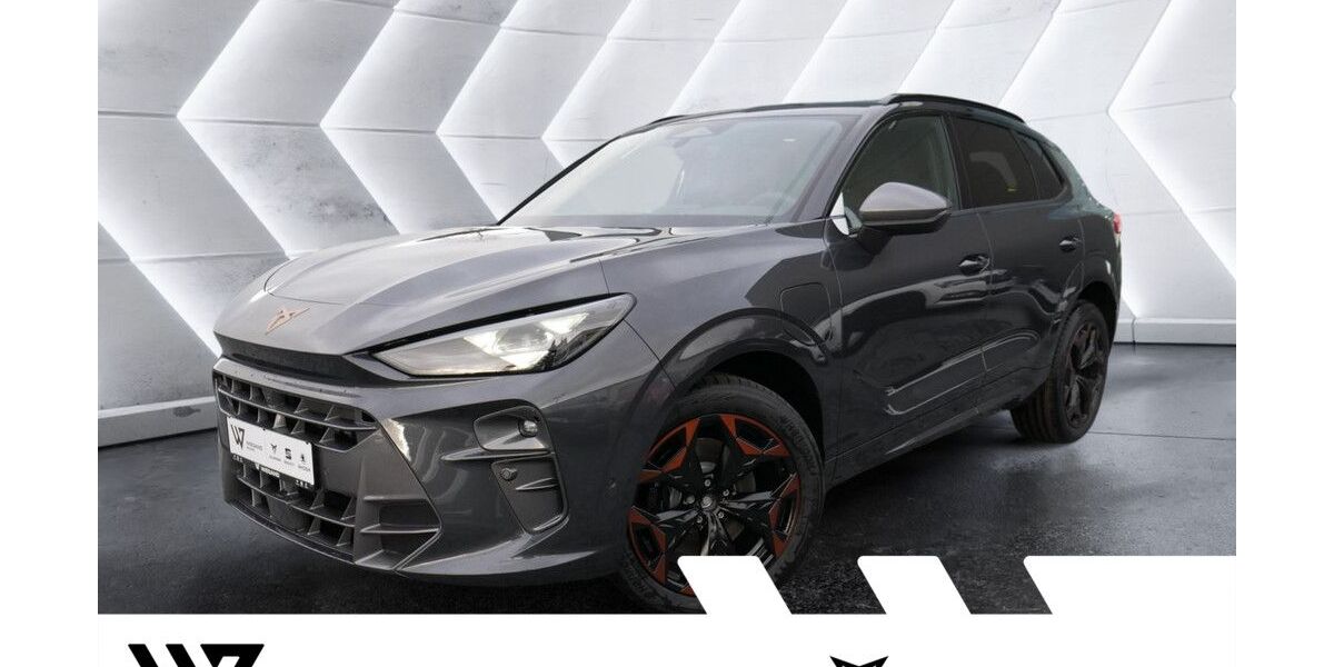 Cupra Terramar 20.500 km 42.637 &euro; Büdingen-Düdelsheim 63654