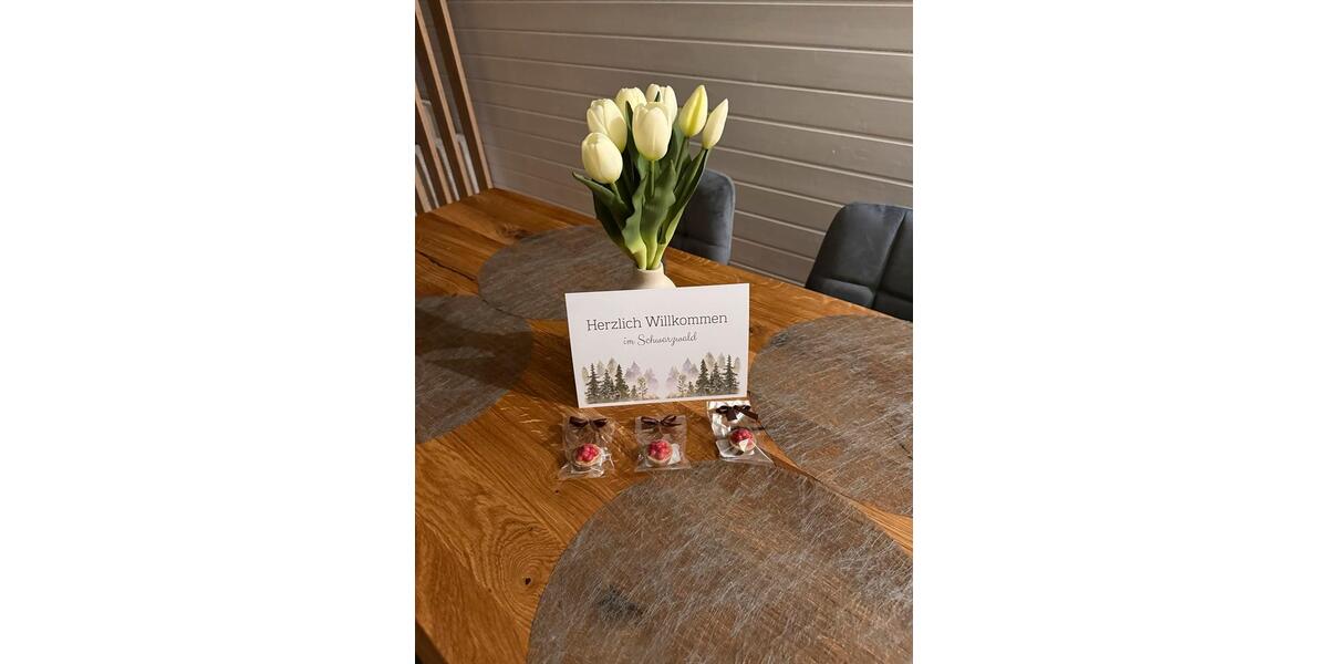 Terrassenwohnung Achern - 2 Zimmer, 53 m&sup2;, 95&euro; | Angebot:26030775