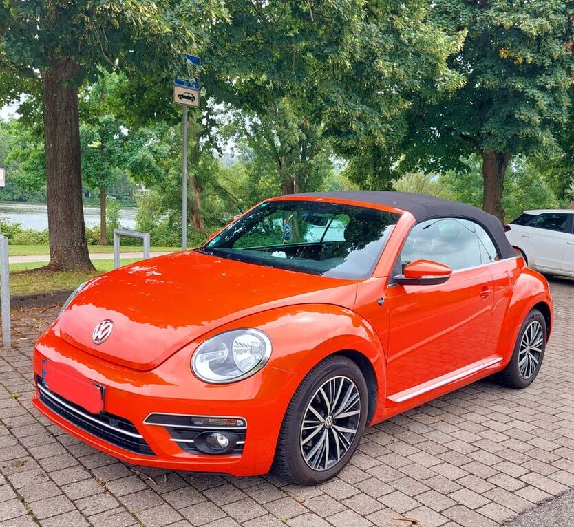 Beetle