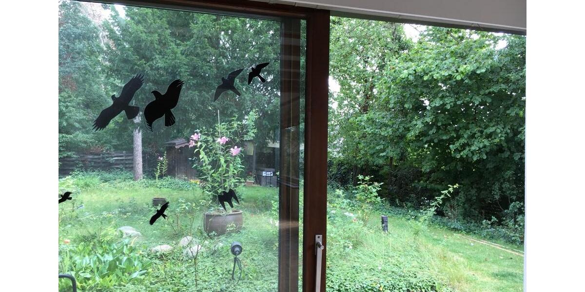 Freistehendes Einfamilienhaus am Stadtwald 6 zimmer